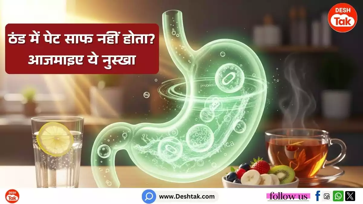 Sardi Me Pet kaise Saaf Kare